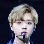 [댓글부탁해] 박지훈 눈 길이 몇<b>일까</b>?????
