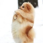 [댓글부탁해] 새학기 얘기 진짜 많이 올라온다