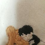 [EXO] 평가좀