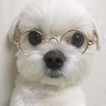 한<b>능감</b>치러감