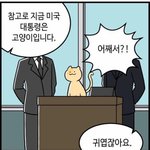 [댓글부탁해] 츼킨 추천해됴><