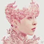 [EXO] 너네 짹 그 <b>글</b> 봤냐