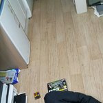 오늘은 <b>비비탄</b>의 무게를 재기 위해서