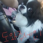 [꼭봐주세요] 갑자기 하늘나라로 떠난 우리아이...