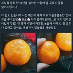 [댓글부탁해] 마스카라 <b>픽서</b> 추천해줭!!!!