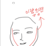 [댓글부탁해] 얼굴형 <b>수술</b>밖에 답없음?
