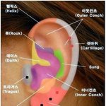 [드루와] 피어싱이나 귀걸이한애들들어와바ㅜㅜ
