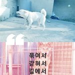 바깥에서 <b>험난</b>한 생활을 하고 있는 아이들을 위해