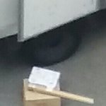 [이삐] 갤러리 정리하다가