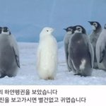 [조언부탁해] 고등<b>학교</b> 올라가기<b>전</b>에 페메하고 친해지는거