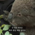 [드루와] 드뎌 내 <b>정체</b>성을 찾음