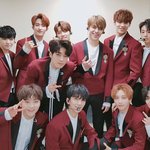 [세븐틴] 캐럿떨