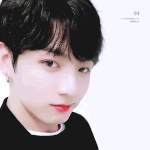 너넨  덕질 최애 <b>중심</b> vs 그룹 전체 <b>중심</b> 추반  좀