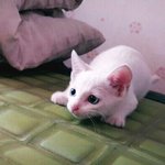여친때문에 고민있는데 좀 들어주라