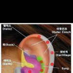 [EXO] 보통 귓볼뚫는데말고 여기만 뚫으면 ㅇㄸ
