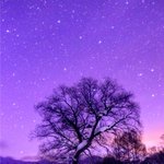 사람은 <b>체취</b>가 중요하더라.