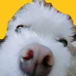 [드루와] <b>각도</b>의 ~~~~ 중요성 ~~~~~