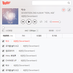 [세븐틴] 스밍에 관해서인데 진짜 마지막으로 물어볼게요ㅠㅠㅠㅠ