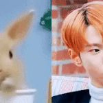[NCT] 김도영졸귀탱