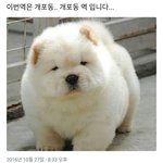 우리 추반해<b>보장</b>