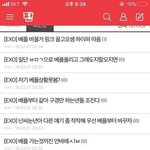 [댓글부탁해] 처음에 <b>엑소엘</b>들이 일키운거 아니냐고 하길래 갖고옴