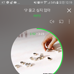 [세븐틴] 얘드랑 내 <b>덕심</b> 붐붐하게 해주라