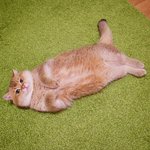 [19] 꿈에서 내<b>인연</b>이 나오는 날 언제지!!!!
