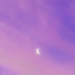 다들꿈이<b>모야</b>..