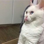 텀블러가 뭐하는<b>데임</b>?