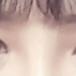 쌍수 추반좀