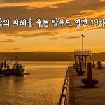 [꼭봐주세요] 삶의 지혜를 주는 탈무드 명언 19가지