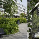 <b>새집</b>을 지켜주려는 사람들의 노력