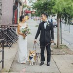 애견인들의 웨딩<b>케익</b>