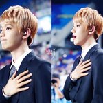 [EXO] 애국가는 <b>배</b>쿠가 부르는데 왜 내가 떨리냐