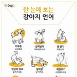 [드루와] 강아지들의 <b>언어</b>래