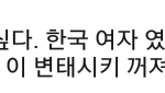 유튜브 남자들댓글보면 결혼하고싶은생각 사라짐