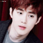 [EXO] 야 나 지금 좀 충격받음