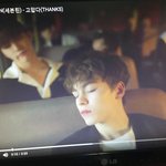 [세븐틴] 타팬인데요 ㅠㅠ