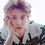 [EXO] 짝짝 그로들아 여기 보세요