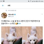 [방탄소년단] <b>주나</b>ㅠㅠㅠㅠㅠ