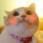 [EXO] 오늘 <b>저</b>녘은 카레라면