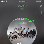 [세븐틴] 오 <b>서양</b>수박 검색어1위바람개비!!!