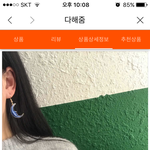 귀걸이 추반