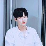 [드루와] 나보다 취향 소나무인 사람 있니