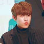 [박우진] 진짜 <b>참새</b>가 나타났다