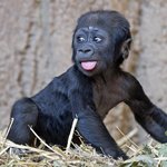 대구00고 <b>이시은</b> 너 나와