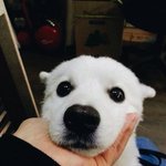 와 이 안무영상 봄??