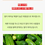 [댓글부탁해] 너네 <b>태몽</b> 뭐였음??