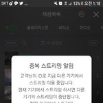 [세븐틴] 캐럿들 <b>암</b>넷이용권