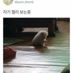 나 <b>쌍테</b>로 <b>쌍</b>커풀 만들었는데